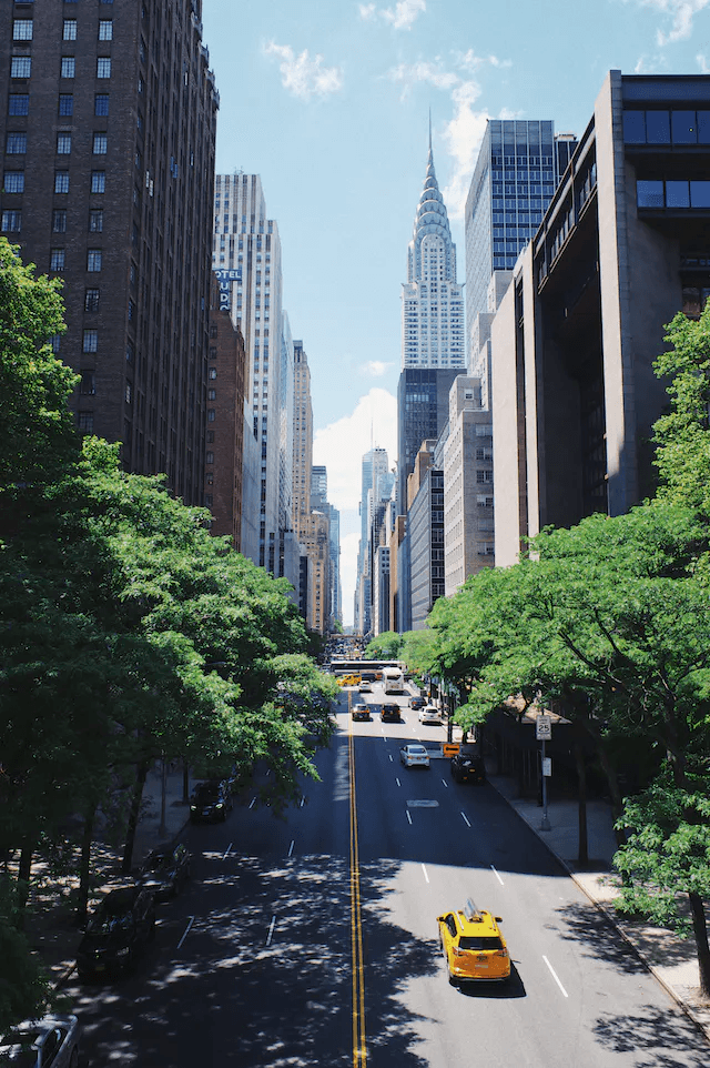 Photo of LJ The Medium